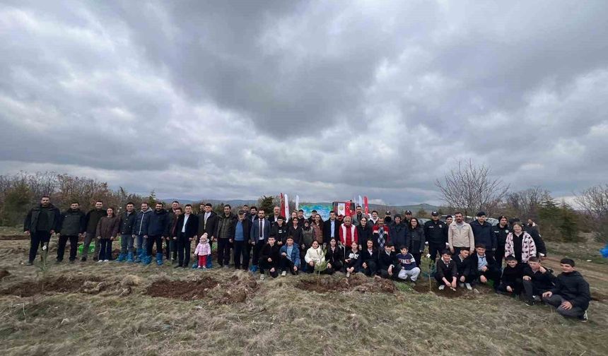 Mihalıççık'ta 100 fidan toprakla buluştu