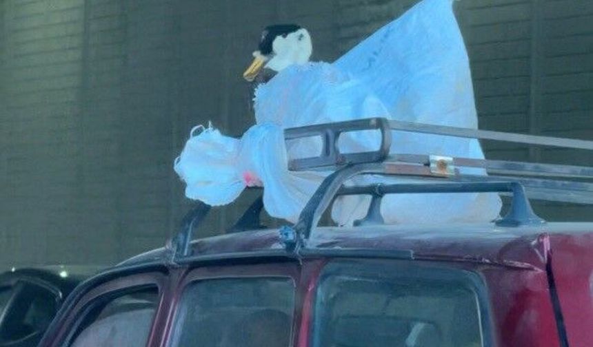 Aracın üzerindeki kazın ilginç yolculuğu kameraya yansıdı