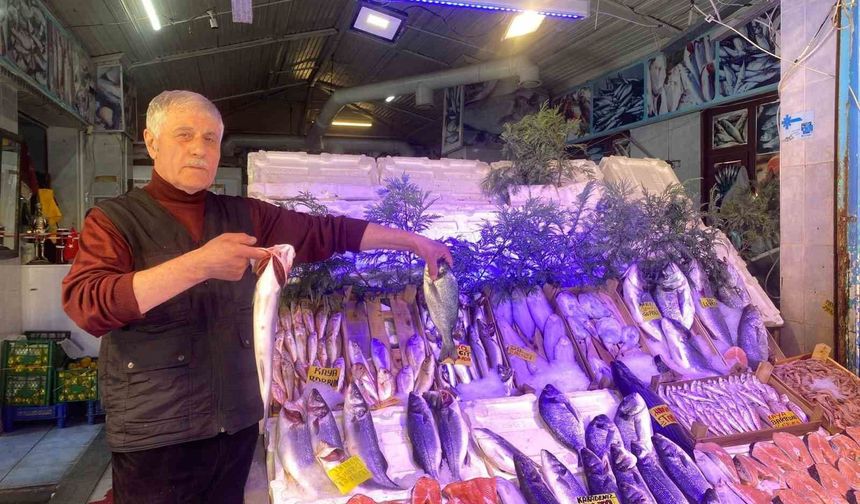 Yasak başladı, balık fiyatlarında henüz bir artış yok