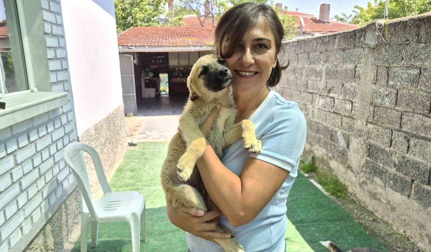 İki gönüllünün şefkat eli yüzlerce sokak hayvanına ulaşıyor