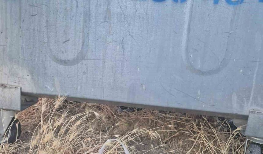 Eskişehir'de kan donduran olay: Yavru kedinin ağzını bantlayıp poşetle çöpe attılar