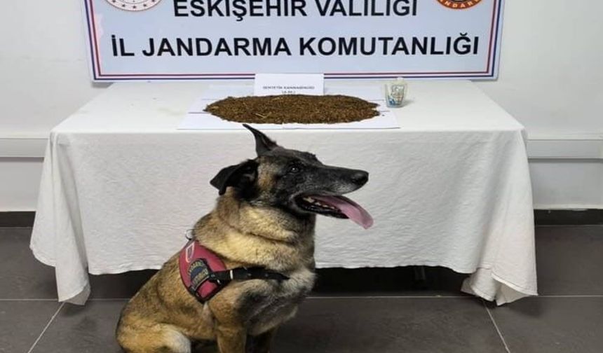 Jandarma ekiplerinden uyuşturucu operasyonu, 361 gram bonzai ele geçirildi