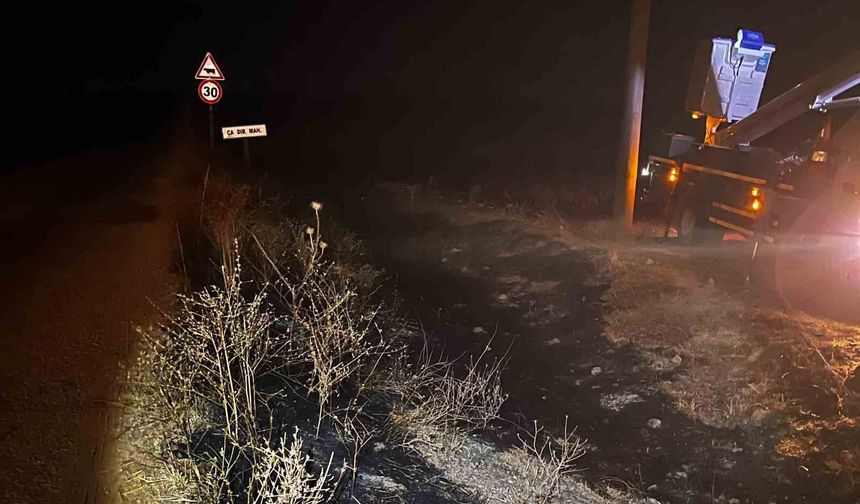 Sivrihisar'da elektrik tellerine çarpan kuş sonrası çıkan yangın söndürüldü