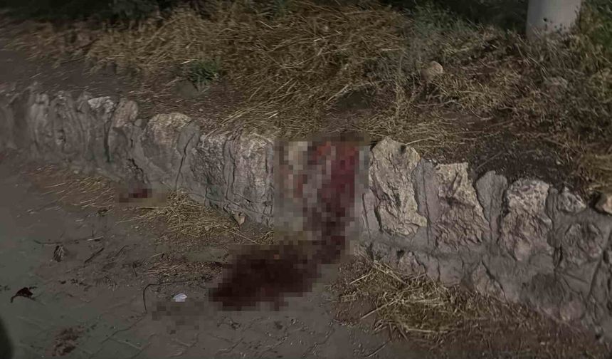 Bıçaklı kavgada 17 yaşındaki çocuk ağır yaralandı