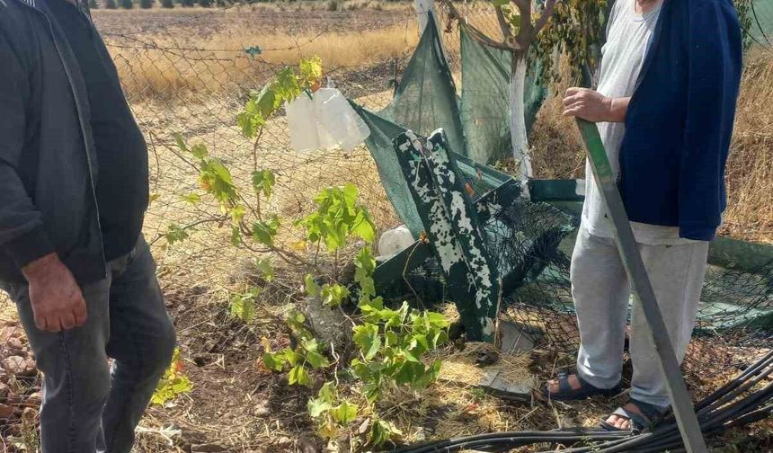 Kimliği belirsiz kişiler bahçe tellerine zarar verdi