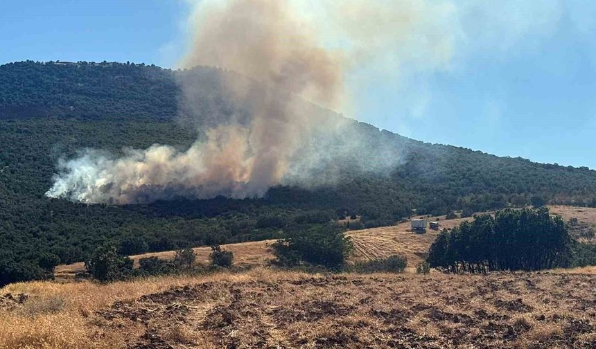 Mihalıççık'ta orman yangınına müdahale sürüyor
