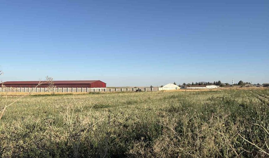 Odunpazarı'nda tarım arazisinde mühimmat bulundu: Kontrollü şekilde imha edilecek