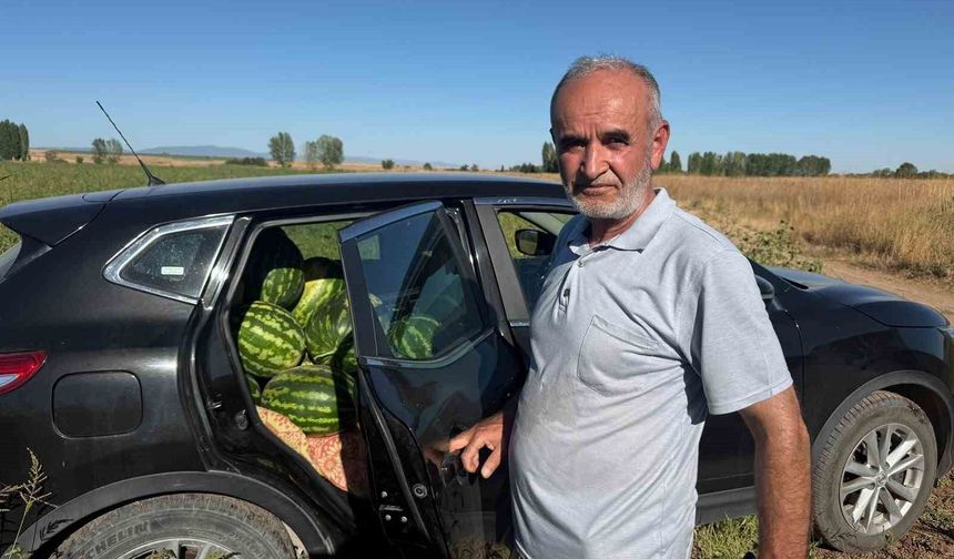 Tarlada bedava karpuz