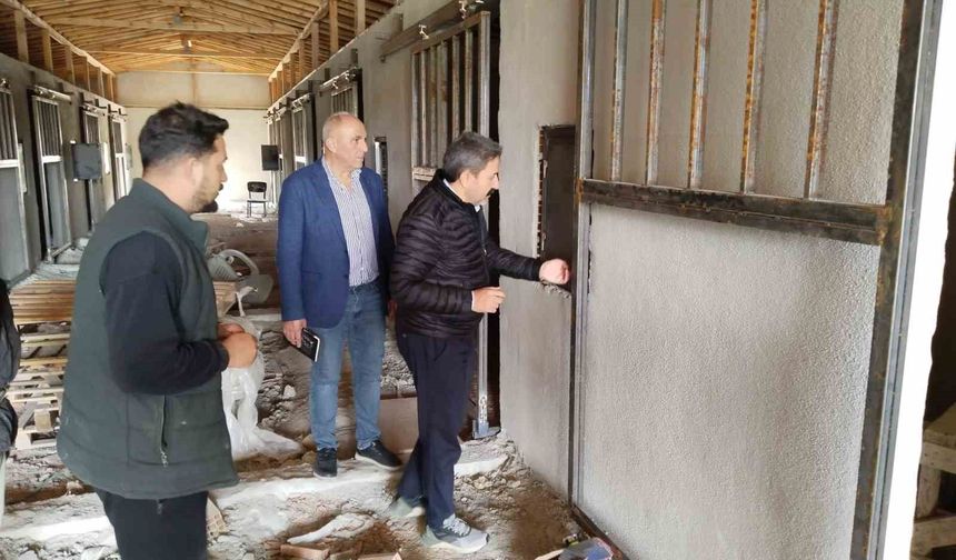 36 Atlık Barınak Projesi'nde çalışmalar devam ediyor