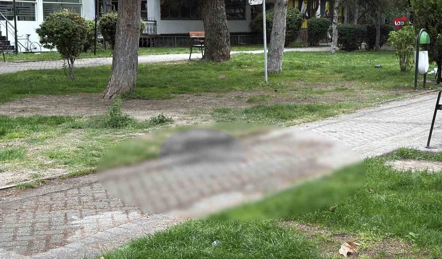 Alkol içerken çıkan tartışma cinayetle bitti