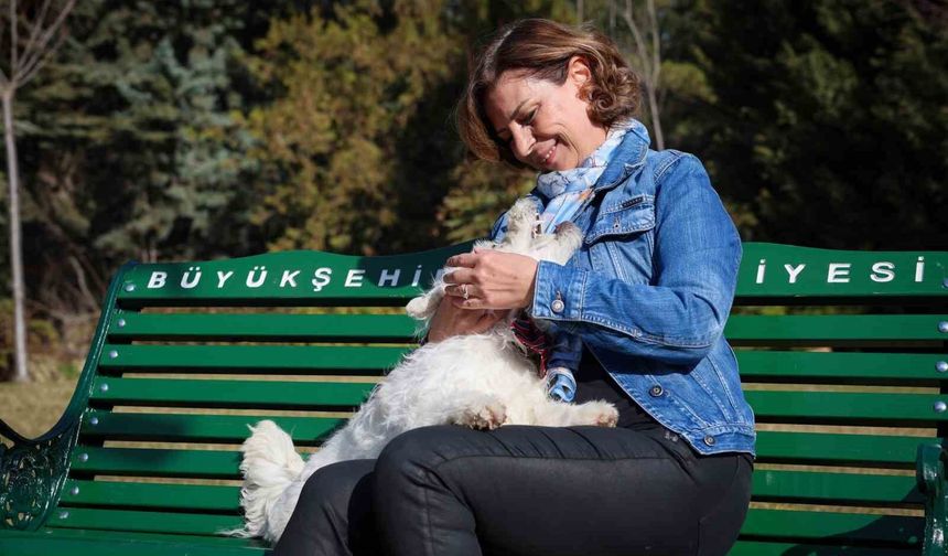 Başkan Ünlüce'den 4 Ekim Dünya Hayvanları Koruma Günü mesajı