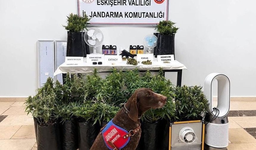 Eskişehir'de 21 poşet kenevir ve çok sayıda uyuşturucu madde jandarma tarafından ele geçirildi