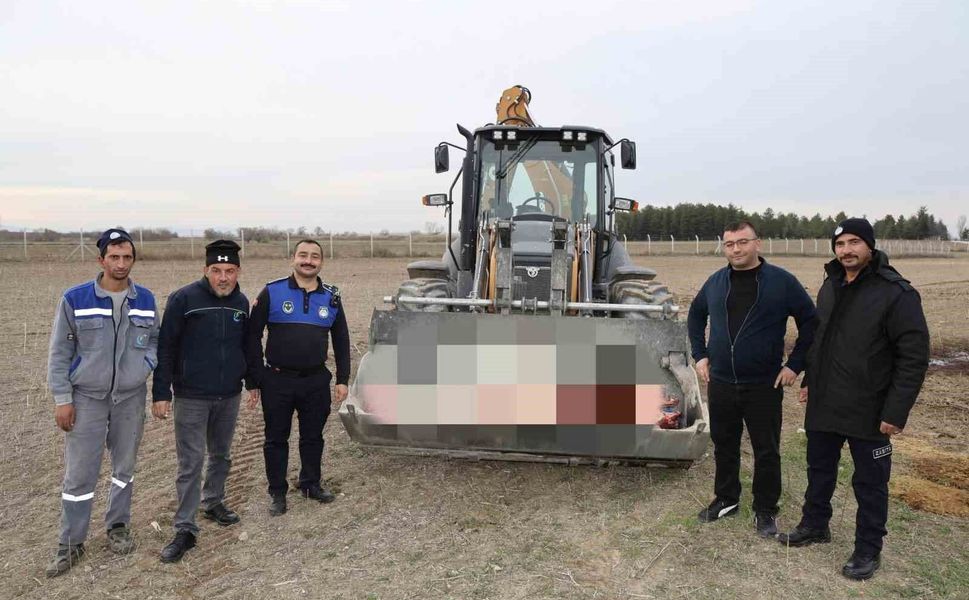 Çifteler'de 215 kilogram kaçak at eti ele geçirildi