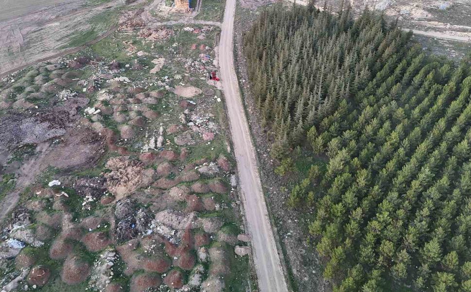 Eskişehir'de tezat görüntü: Bir yanda yeşil ağaçlar, bir yanda çöp yığınları