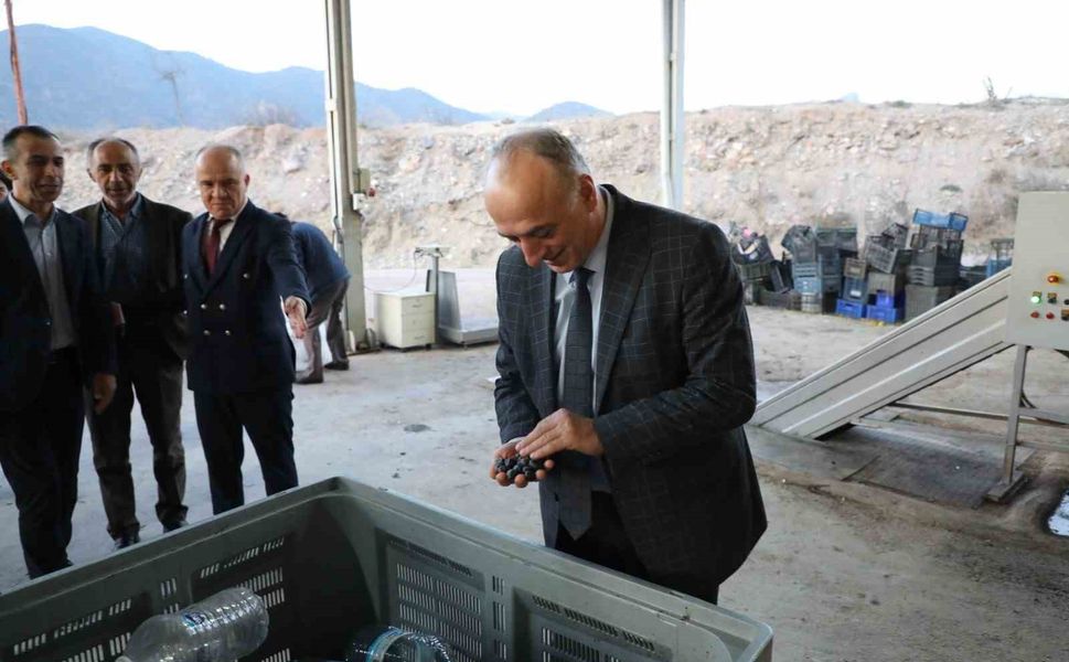 Sarıcakaya zeytinle ön plana çıkıyor