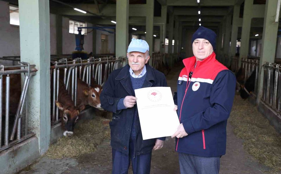 Hayvancılıkta örnek işletmenin 'Hastalıktan Ari Sertifikası' yenilendi