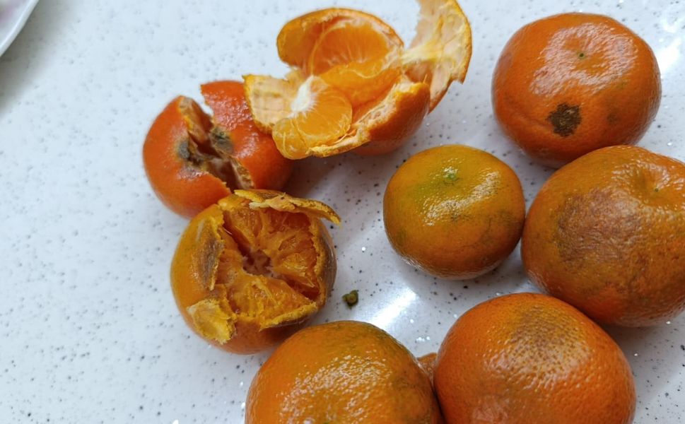 Pazardan aldığı 2 kilo mandalinanın yarısı çürük çıktı
