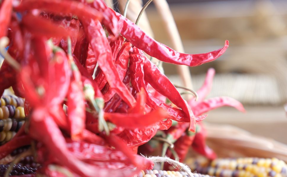 Büyükşehir Yerel Tohum Takas Günleri Başlıyor