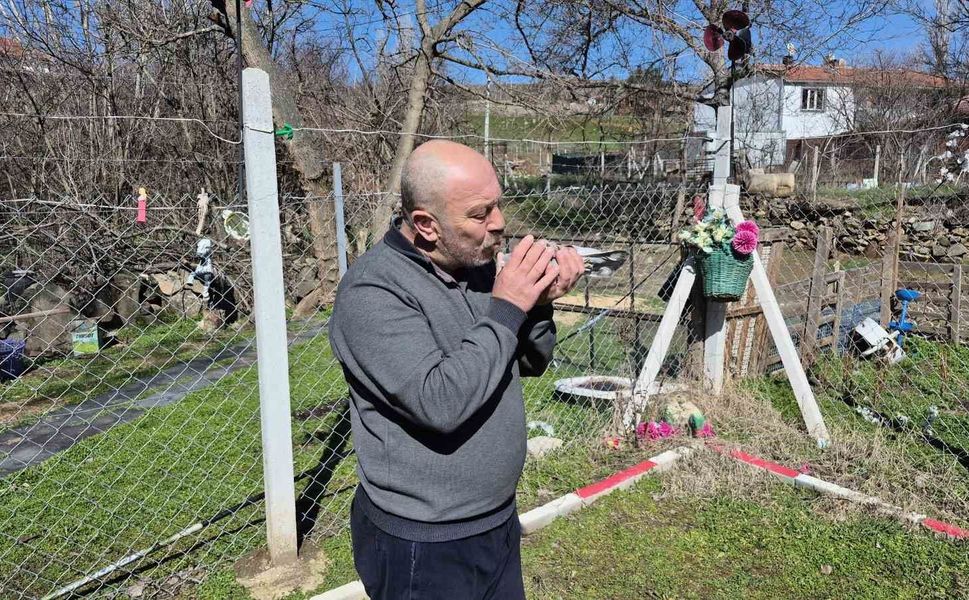 Çocukluğundan bu yana güvercin tutkunu olan adam: 'Bir ev parasına kuş veren var'