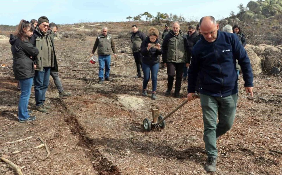 Eskişehir'de yangın sonrası ağaçlandırma çalışmaları başladı