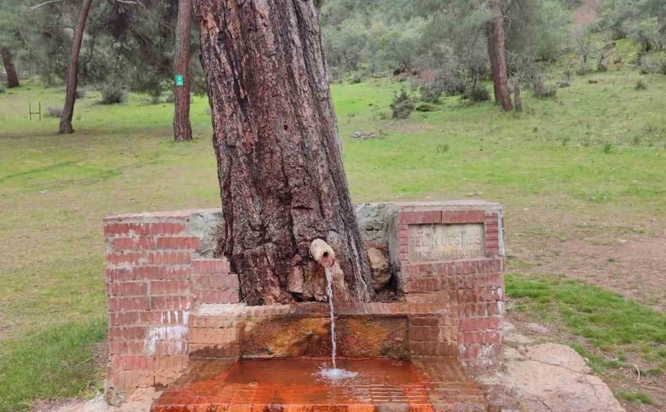 Çeşmeden maden suyu içmek isteyen vatandaşlar Laçin'e geliyor
