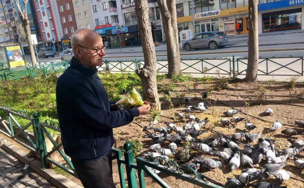 Dükkanının önüne gelen onlarca güvercini doyuruyor