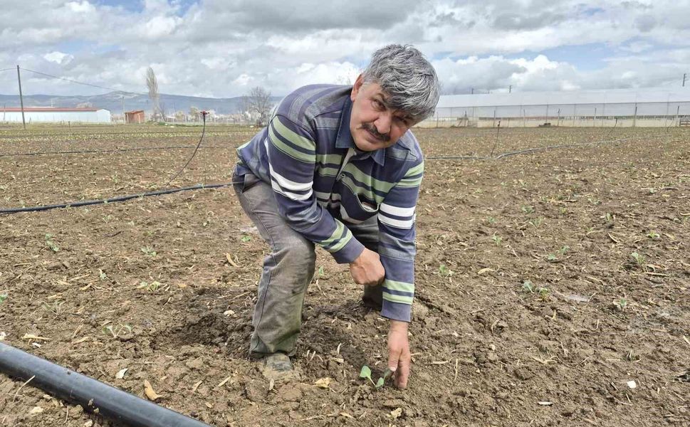 Eskişehir'de yılın ilk tohum ve fideleri toprakla buluştu