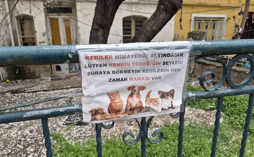 Hayvanseverlerin ilginç yazısı: 'Kediler himayemiz altındadır'