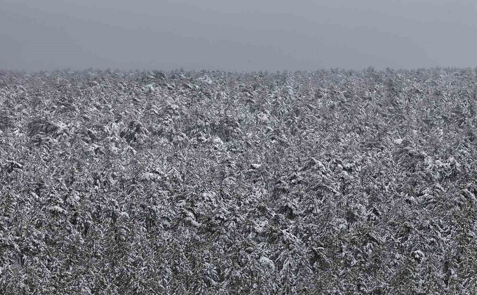 Mayıs ayında karla kaplanan ormanların eşsiz manzarası hayran bıraktı