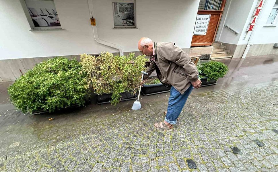 Altyapı yetersizliği sebebi ile yol kenarında biriken su ile bitkileri suladı