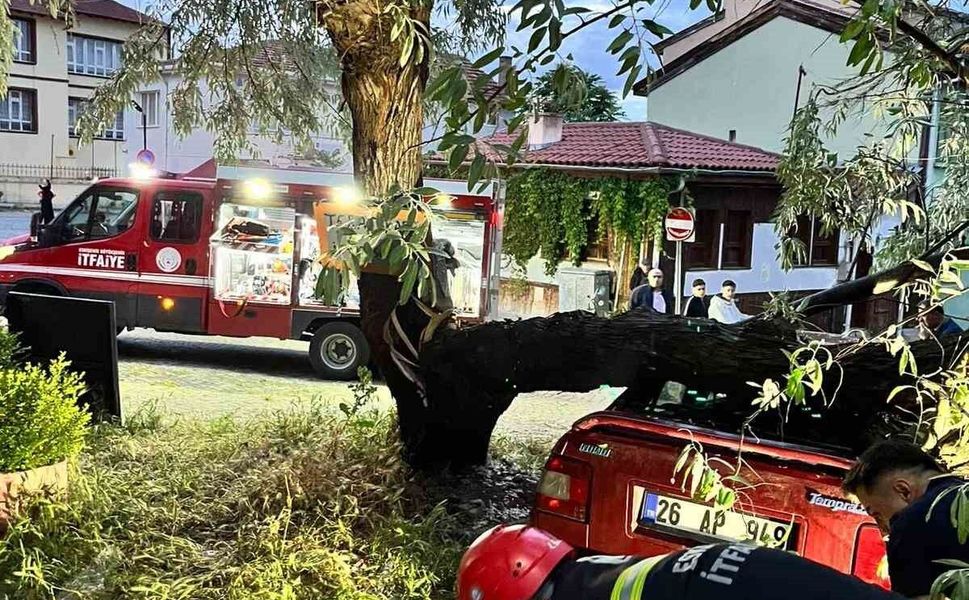 Araç üzerine düşen ağaç itfaiye ekiplerinin titiz çalışmasıyla kaldırıldı