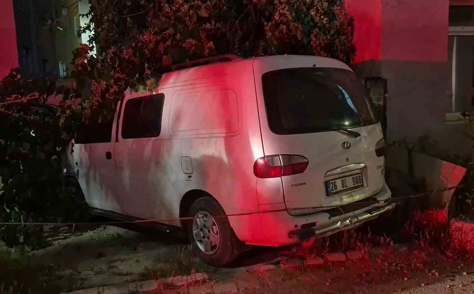 Dut ağacı park halindeki araçların üzerine devrildi, faciadan dönüldü