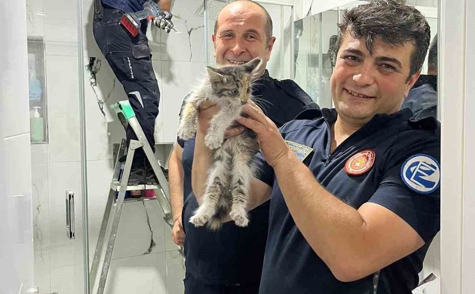 Havalandırma boşluğunda mahsur kalan kediyi itfaiye kurtarıldı