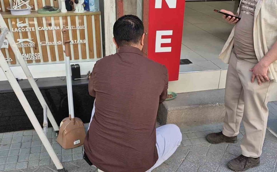 Tabelaya sıkışan yavru kediyi esnaf kurtardı