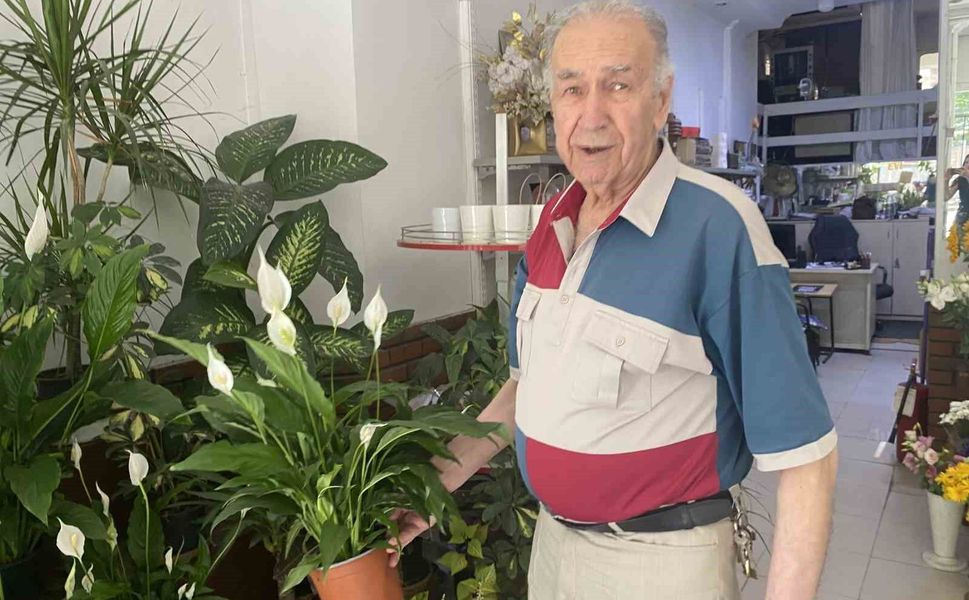 Direkt güneş ışığı çiçekler için zararlı