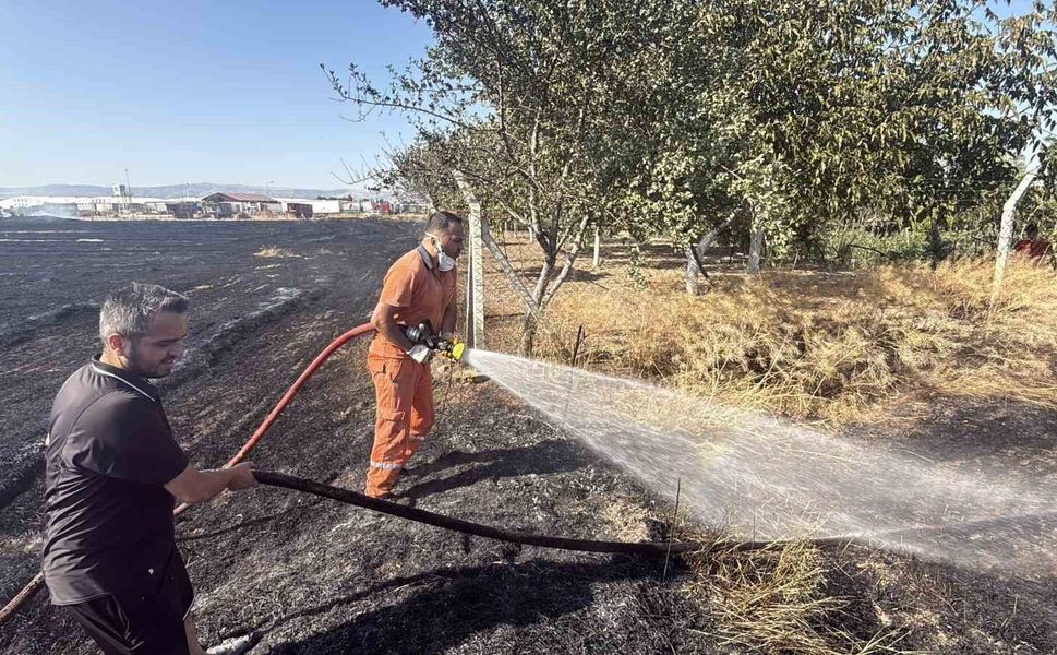 Eskişehir'de anız yangını: Alevler milyar dolarlık fabrikaya 200 metre kala durduruldu