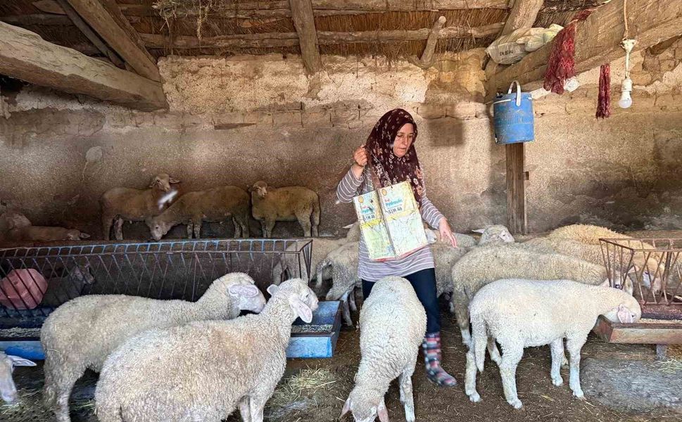 'Hayvanlara büyü yaptı' denilerek vahşice öldürülen adamın karısı tek başına çobanlık yaparak 2 oğlunu okutmaya çalışıyor