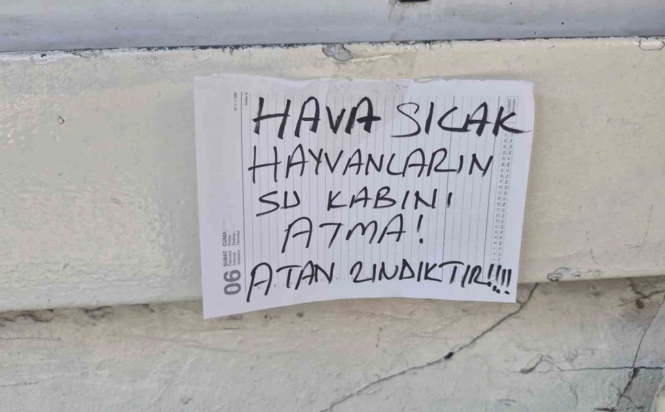 Sokak hayvanlarının su kabını atanlara ilginç tepki: 'Atan zındıktır'