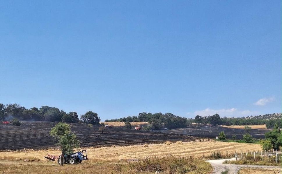 Bozüyük'teki yangında 80 dönüm tarım arazisi zarar gördü