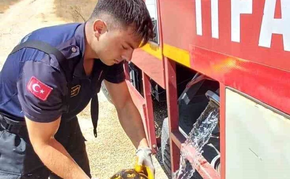 Eskişehir'de alevlerin arasında kalan kaplumbağayı itfaiye kurtardı