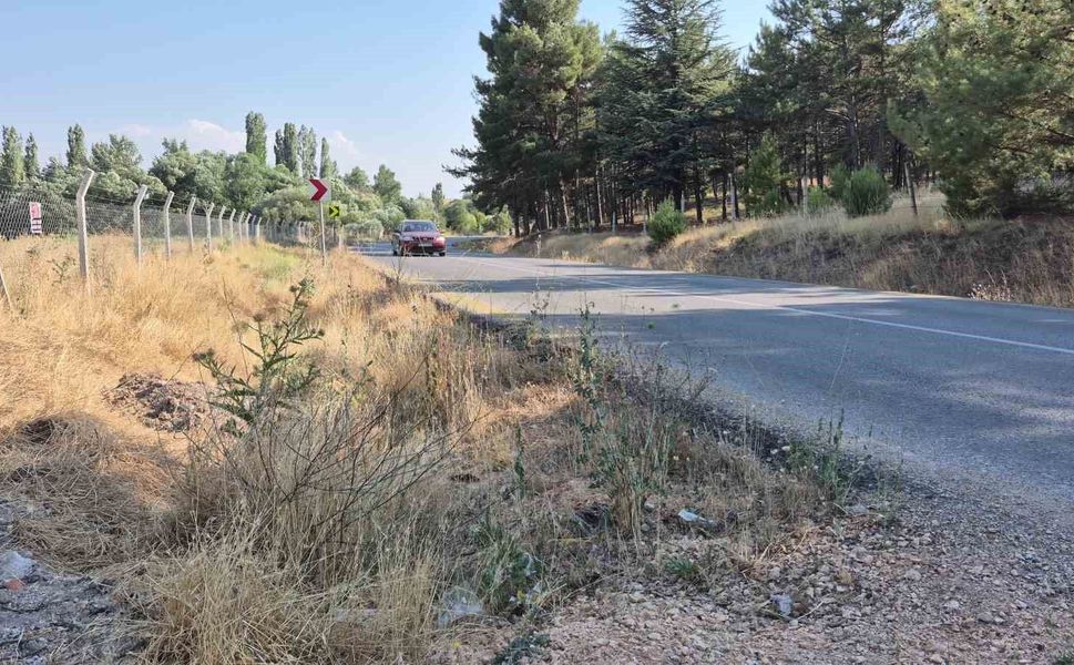 Mahalle muhtarından yol kenarlarındaki kurumuş otlar için 'yangın' uyarısı