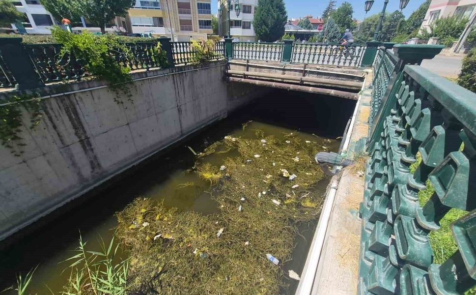 Porsuk Çayı'ndaki çöp kirliliği dikkat çekti