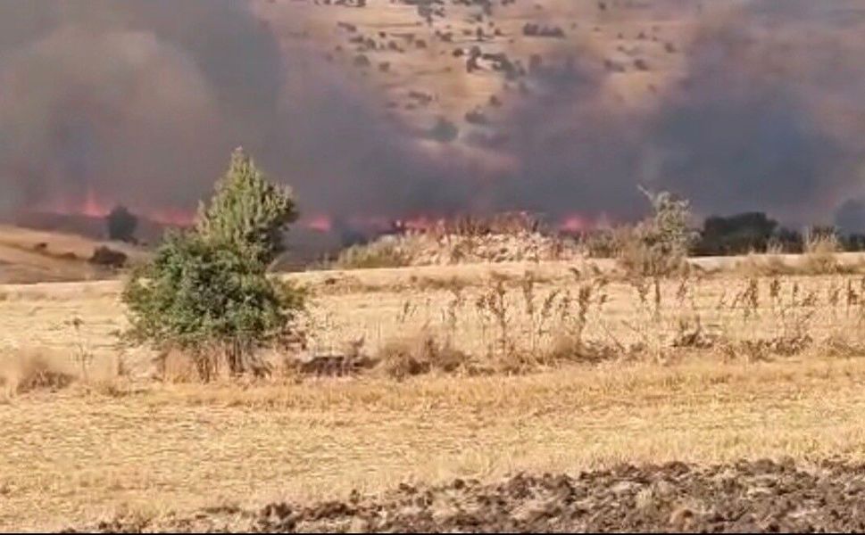 Seyitgazi'de tarım arazisinde yangın çıktı