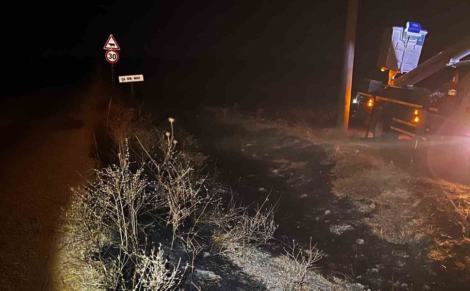 Sivrihisar'da elektrik tellerine çarpan kuş sonrası çıkan yangın söndürüldü