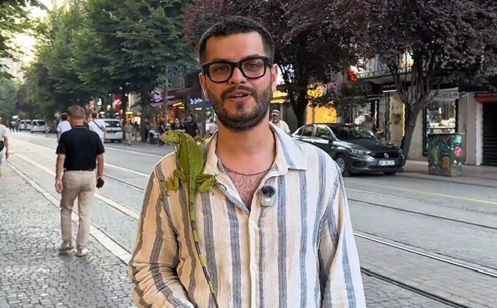 Sokakta iguana gören çocuklar yanına koştu