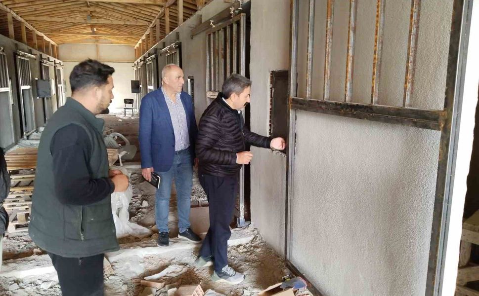 36 Atlık Barınak Projesi'nde çalışmalar devam ediyor
