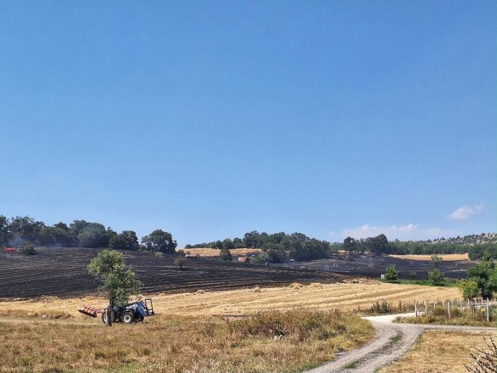 Bozüyük'teki yangında 80 dönüm tarım arazisi zarar gördü