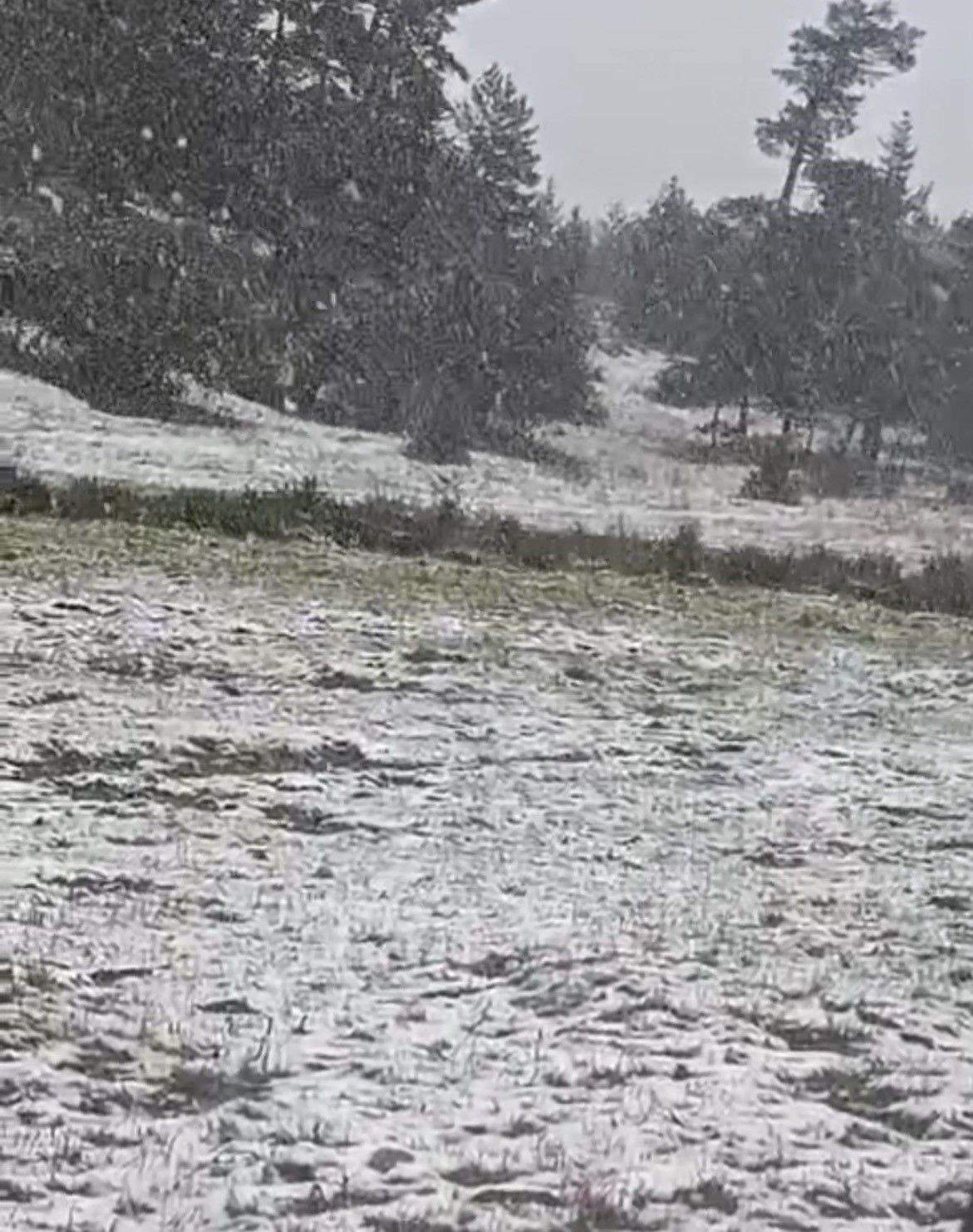 Eskişehir Alpu ilçesinde kar yağışı etkili oldu